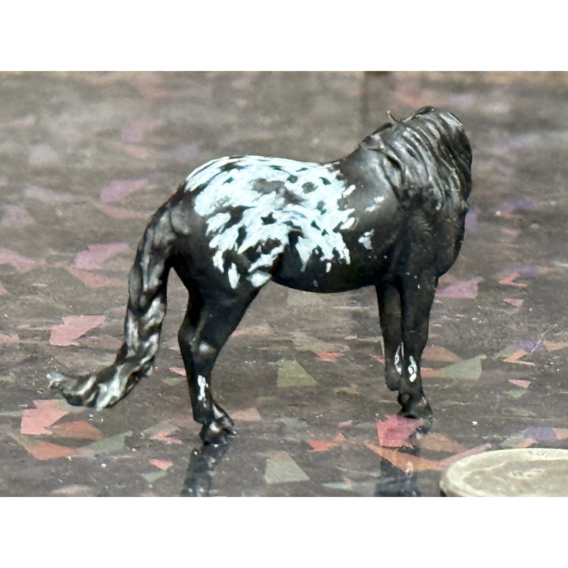 Resin Custom Horse Seunta Dime Sized Cutie To Black Appaloosa