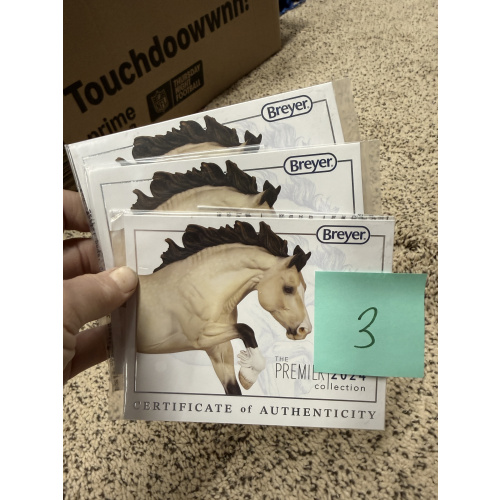 Breyer Material Premier Club COA Llywellyn