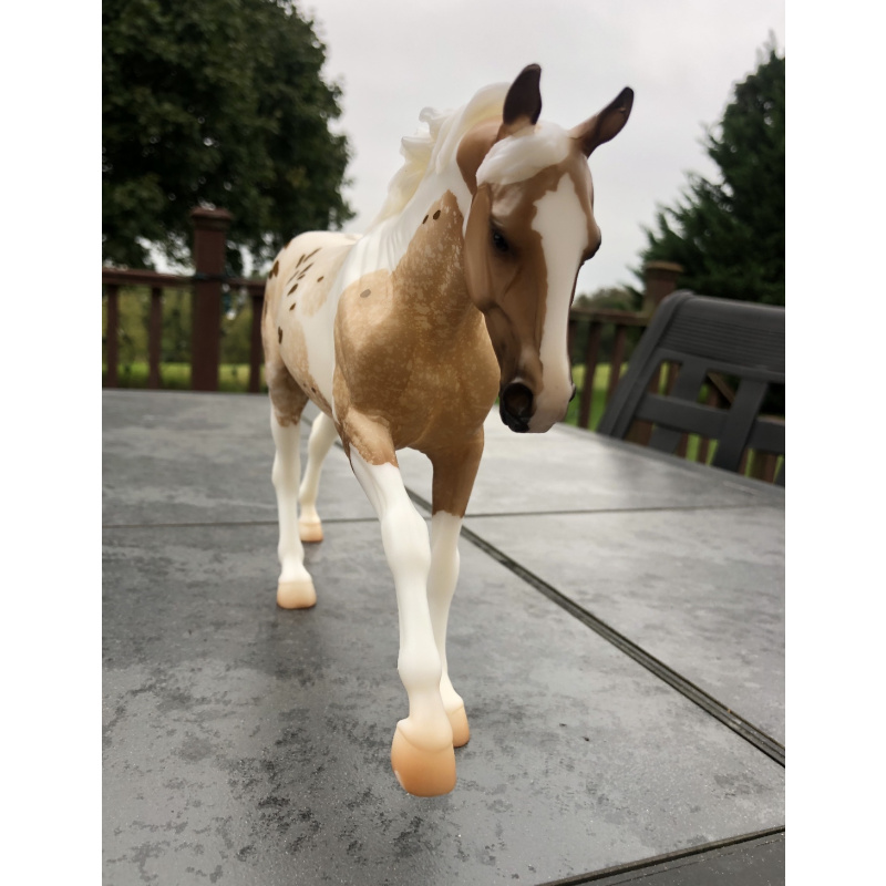 Breyerfest 2021 Pintaloosa surprise