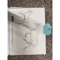 Breyer Material Premier Club Drawing Hermosa & Corazon