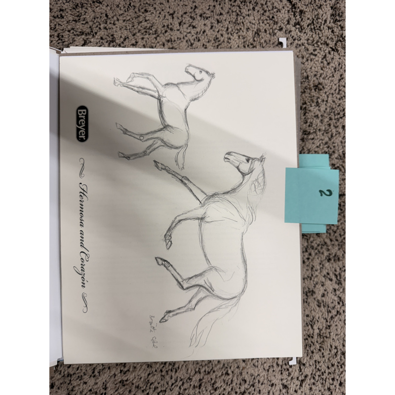 Breyer Material Premier Club Drawing Hermosa & Corazon