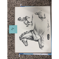 Breyer Material Premier Club Drawing Wyatt