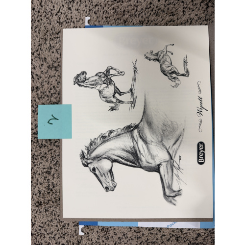 Breyer Material Premier Club Drawing Wyatt