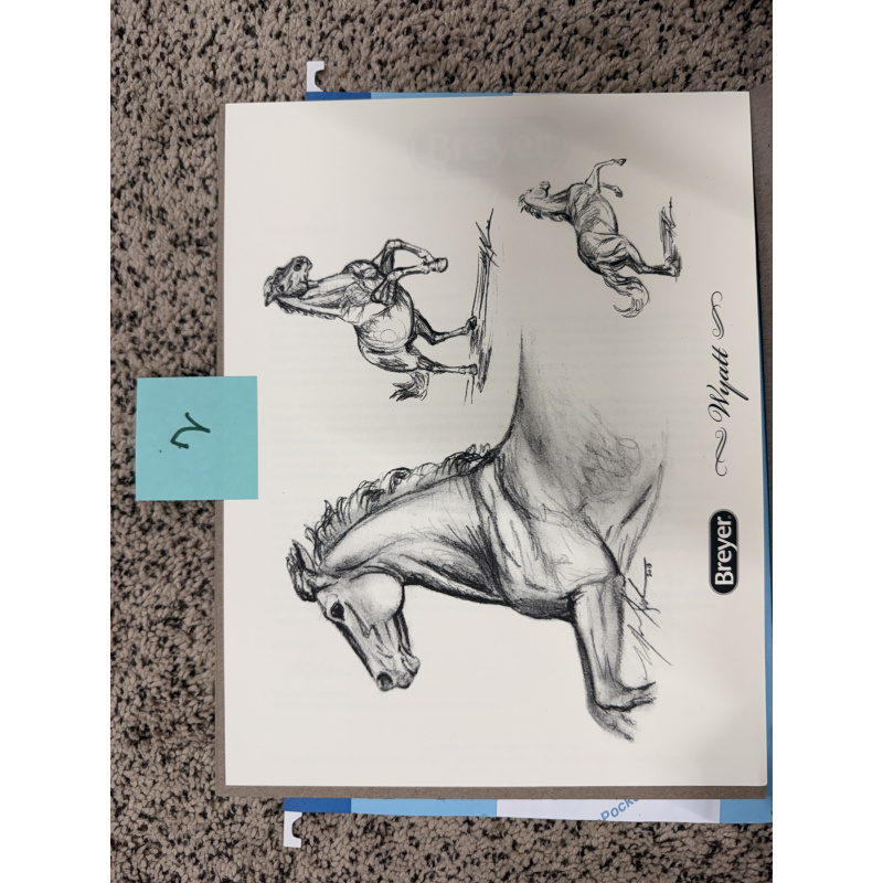 Breyer Material Premier Club Drawing Wyatt