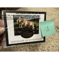 Breyer Material Premier Club COA Bristol