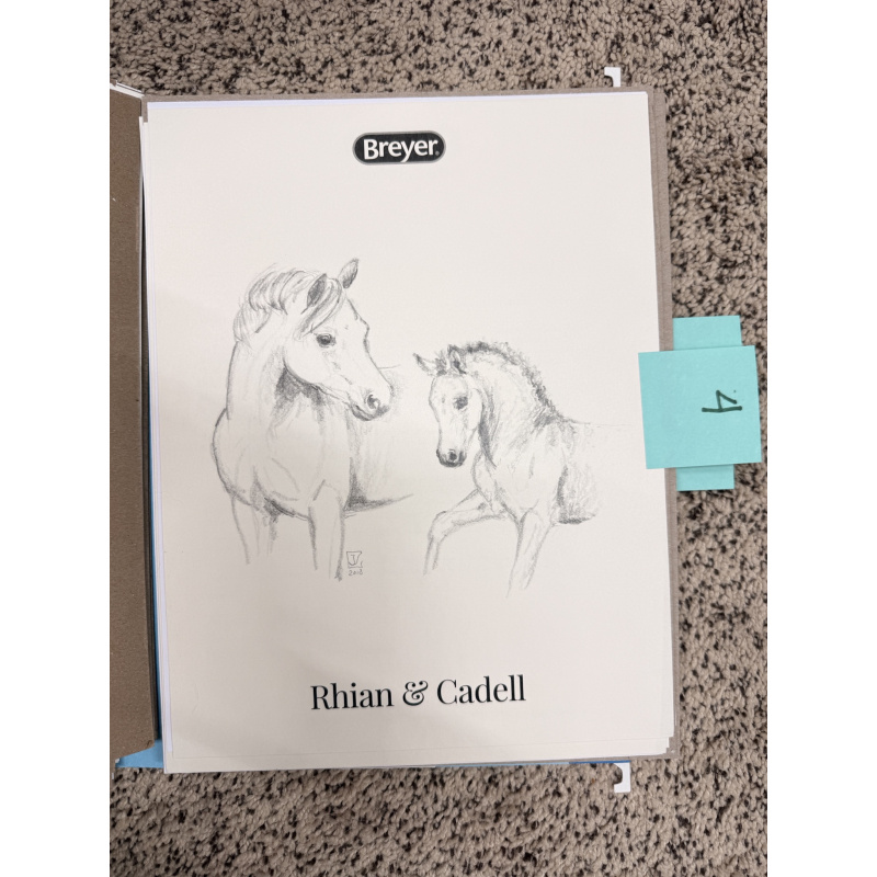 Breyer Material Premier Club Drawing Rhian & Cadell