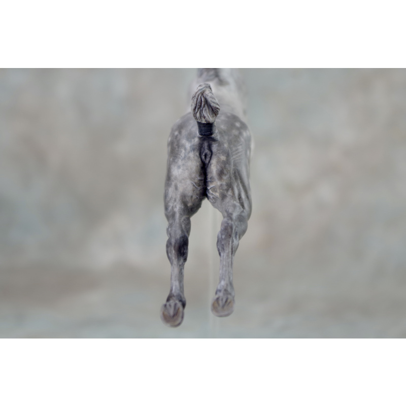 Kelly Sealey Capriole in Dapple Grey