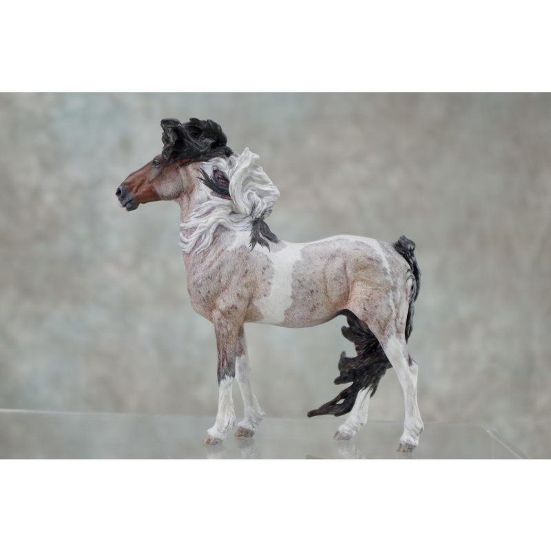 Venti Whirlwind in Roan Tobiano
