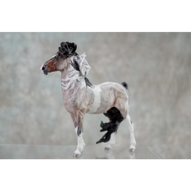 Venti Whirlwind in Roan Tobiano