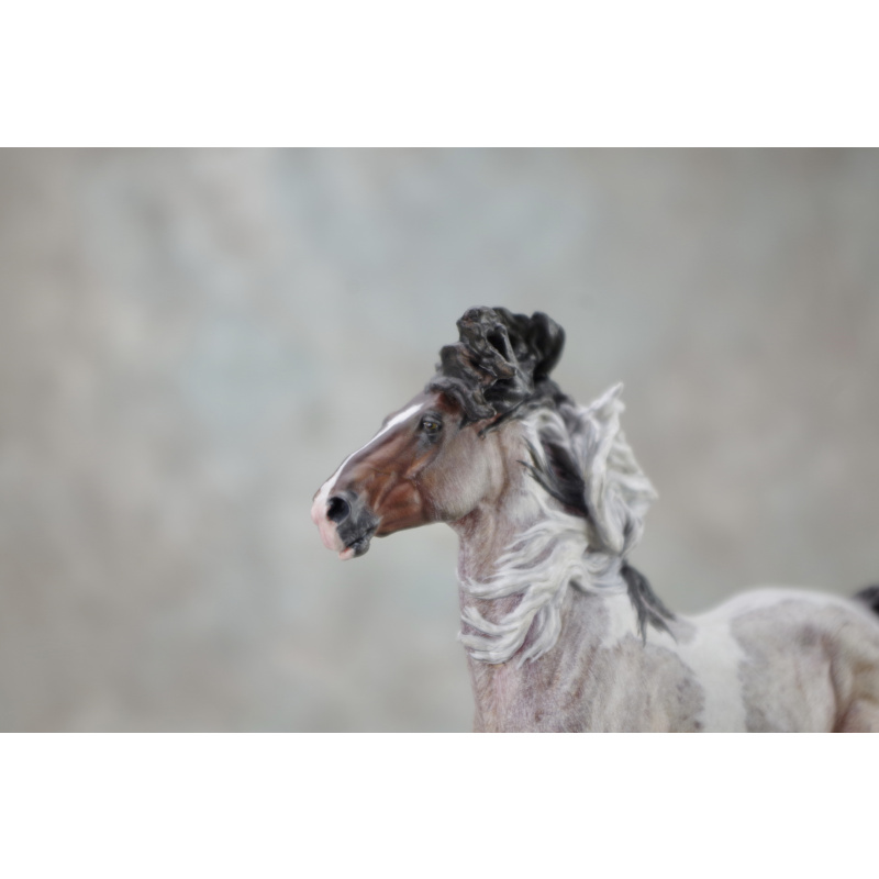 Venti Whirlwind in Roan Tobiano