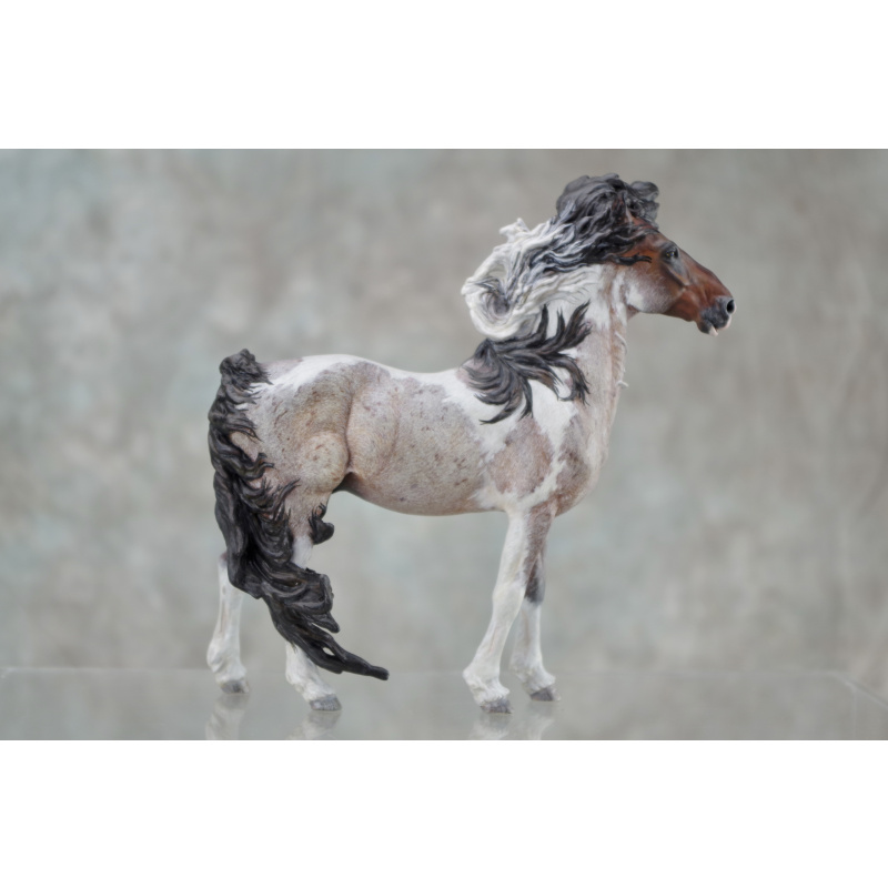 Venti Whirlwind in Roan Tobiano