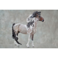 Venti Whirlwind in Roan Tobiano
