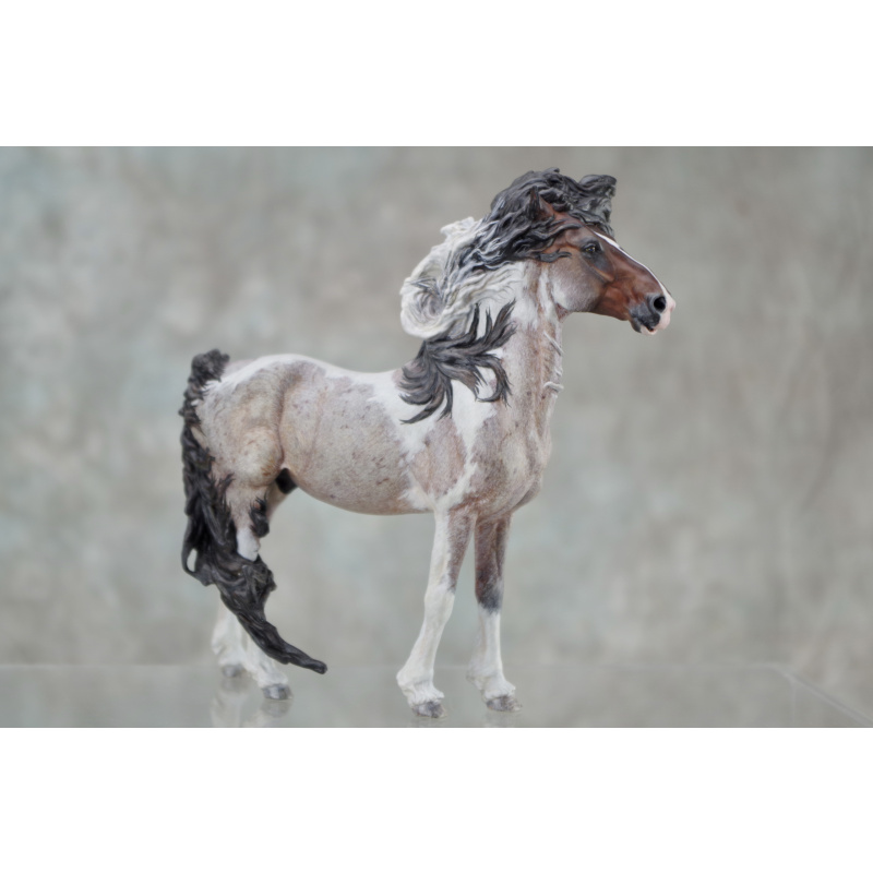 Venti Whirlwind in Roan Tobiano