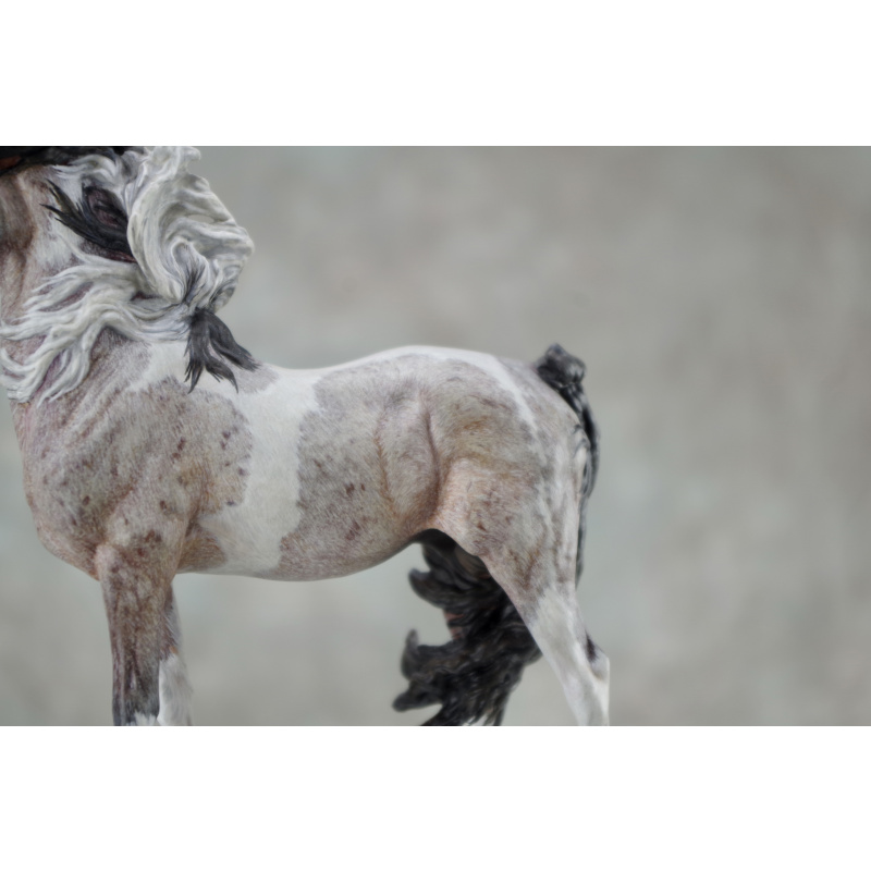 Venti Whirlwind in Roan Tobiano