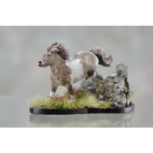 Micro Mini Shetland in Mushroom Tobiano