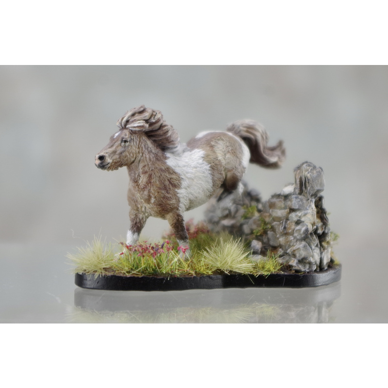 Micro Mini Shetland in Mushroom Tobiano