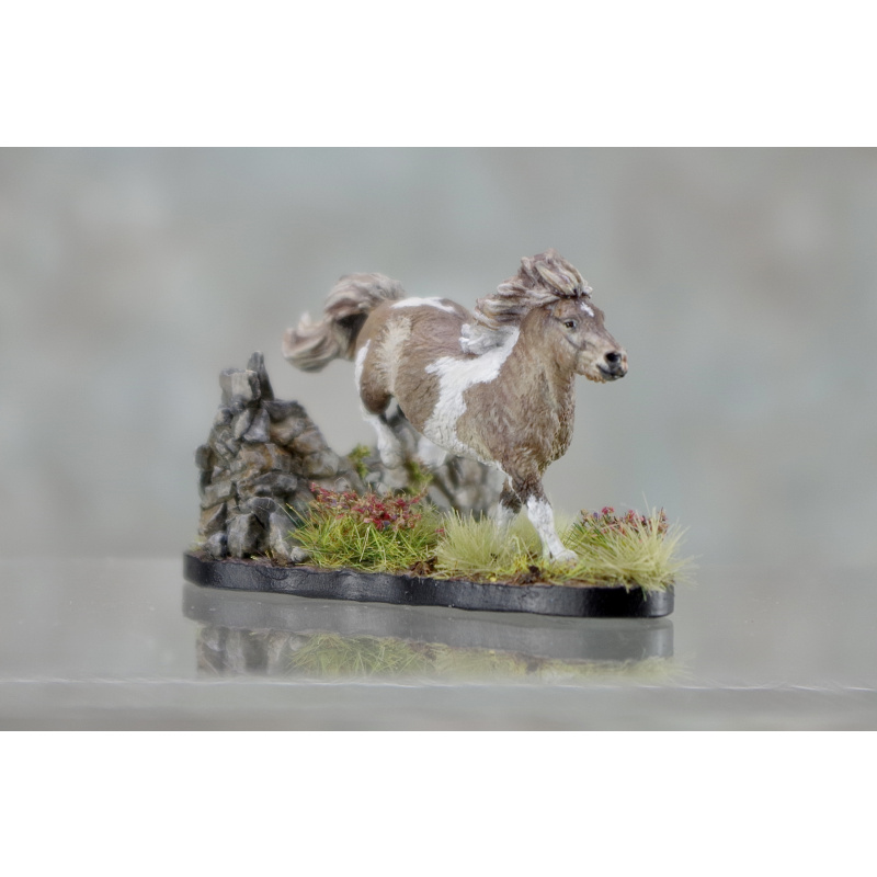 Micro Mini Shetland in Mushroom Tobiano