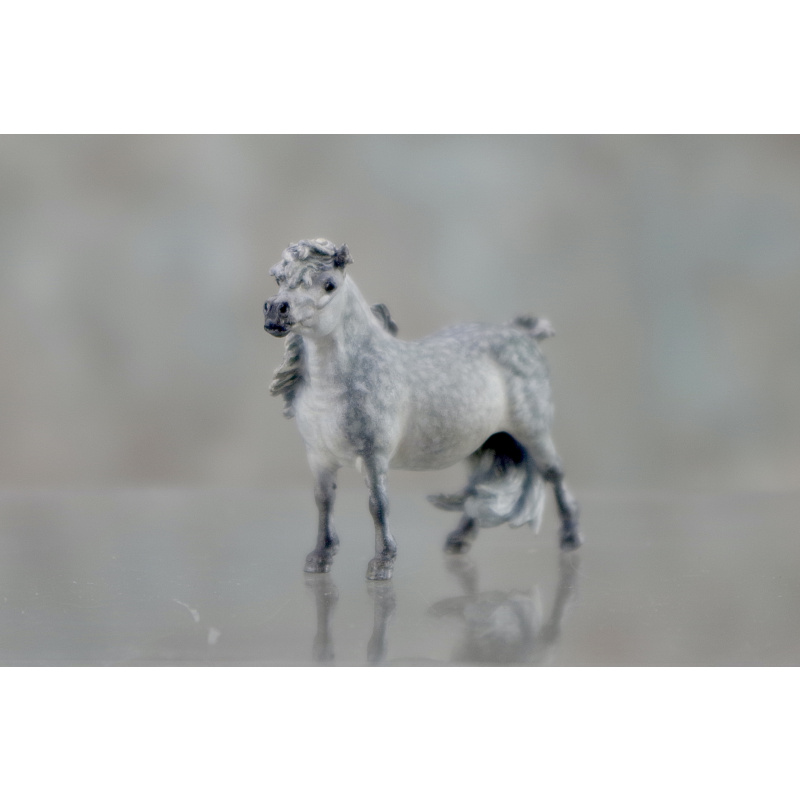 Micro Mini Shetland in Dapple Grey