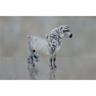 Micro Mini Shetland in Dapple Grey
