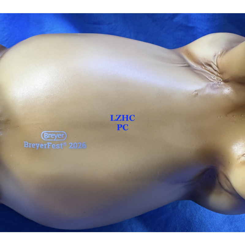 Breyer 2026 Volunteer Model Vegvísir, Georg Mold, Dapple Palomino