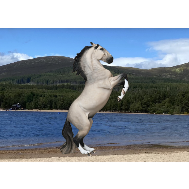 CM Breyer Adonis to a dappled buckskin