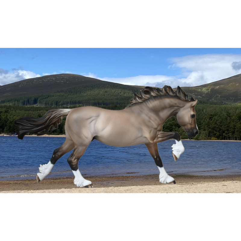 CM BREYER WELSH COB TO A LIGHTLY DAPPLED DUN