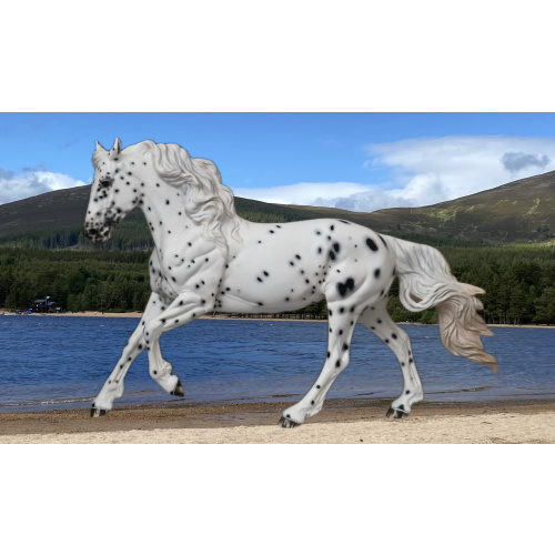 CM BREYER TIGERLILY TO AN APPALOOSA