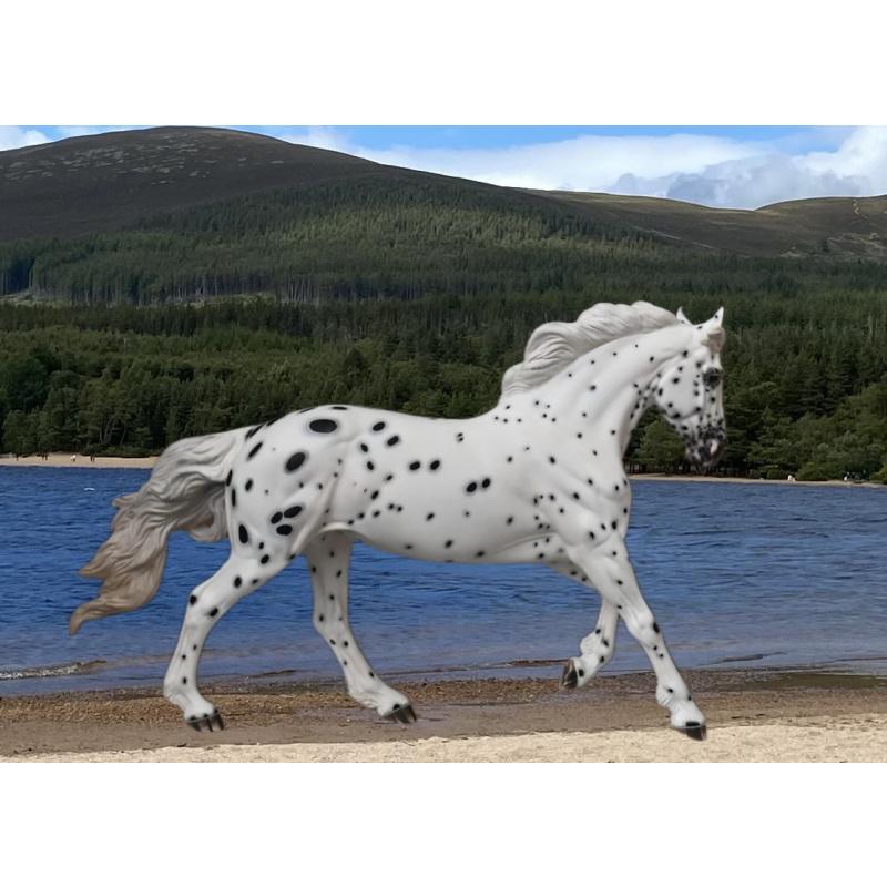 CM BREYER TIGERLILY TO AN APPALOOSA