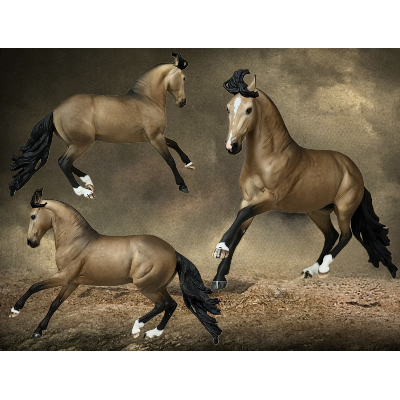 CM BREYER CRIOLLO TO A GOLDEN DAPPLED BUCKSKIN