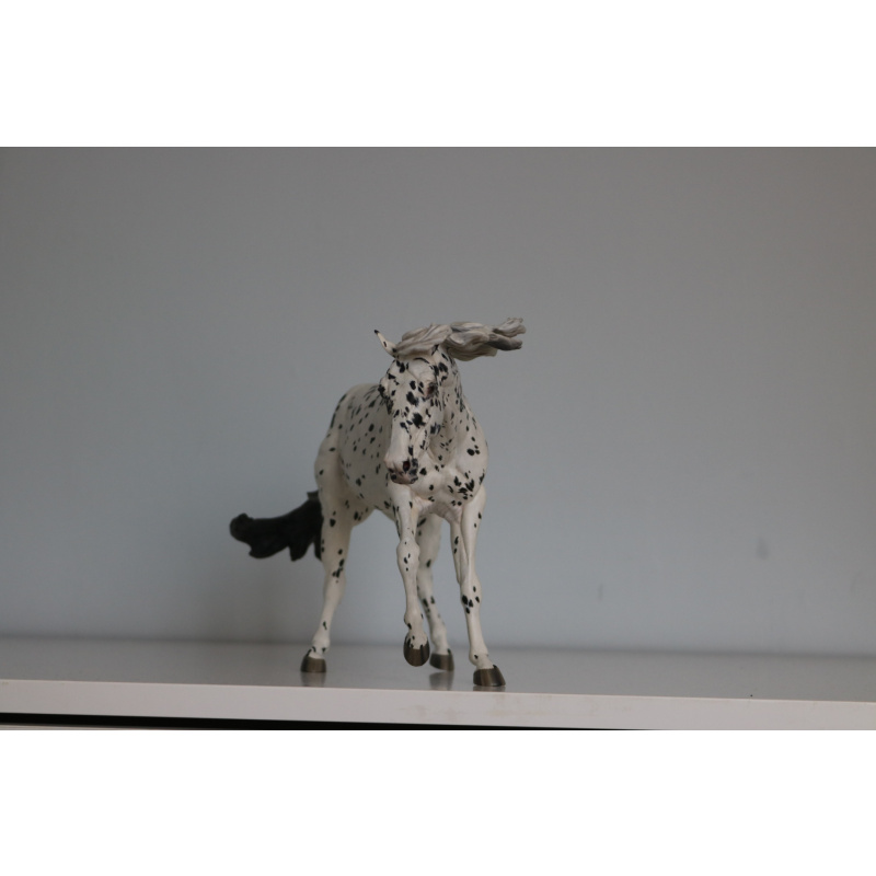 Custom breyer traditional PMAP