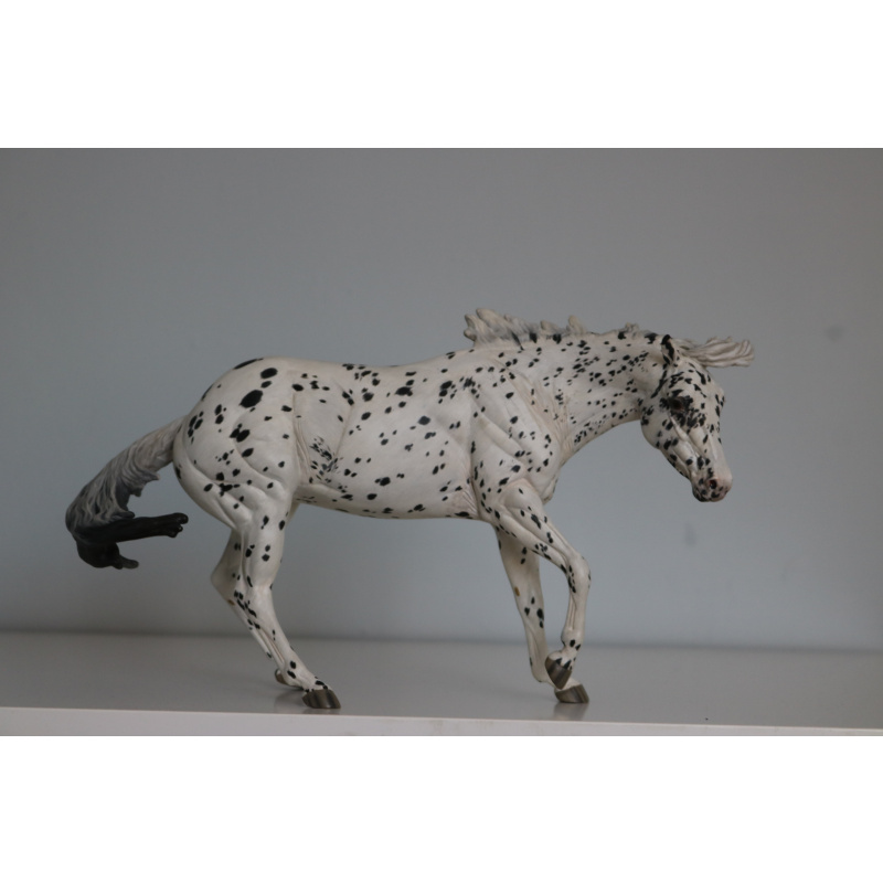 Custom breyer traditional PMAP