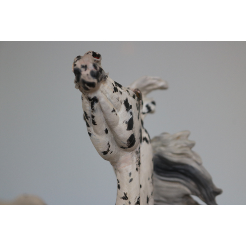 Custom breyer traditional PMAP