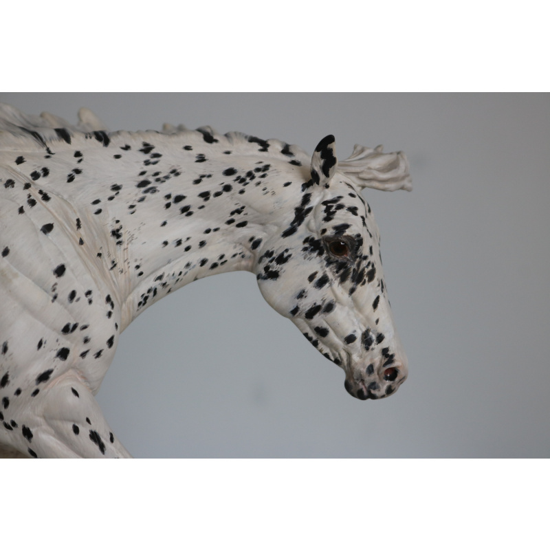Custom breyer traditional PMAP