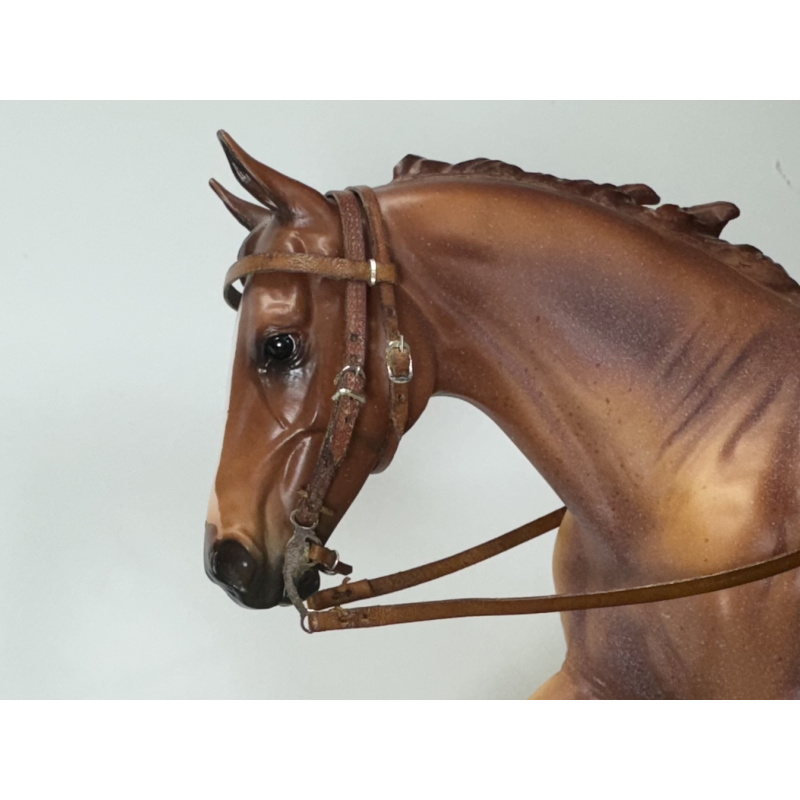 Western Bridle