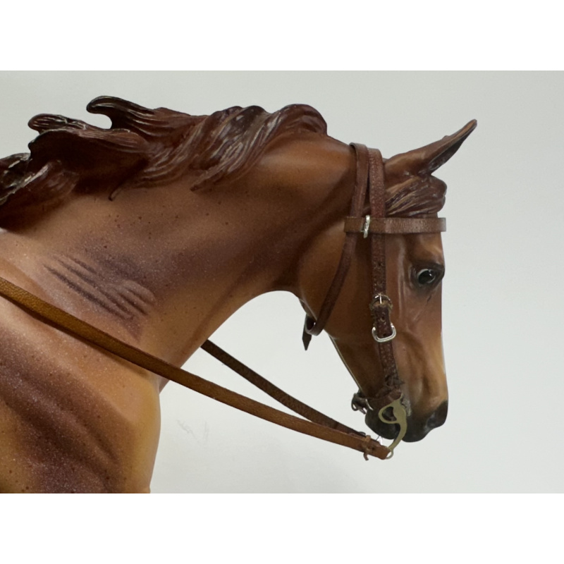 Western Bridle
