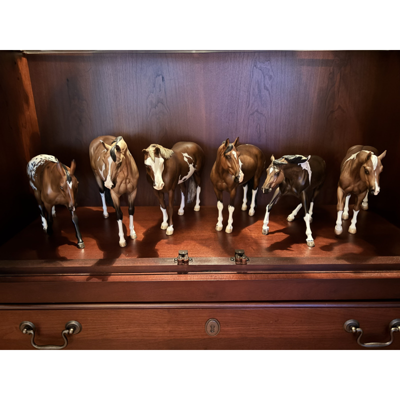 Knightly Cadence