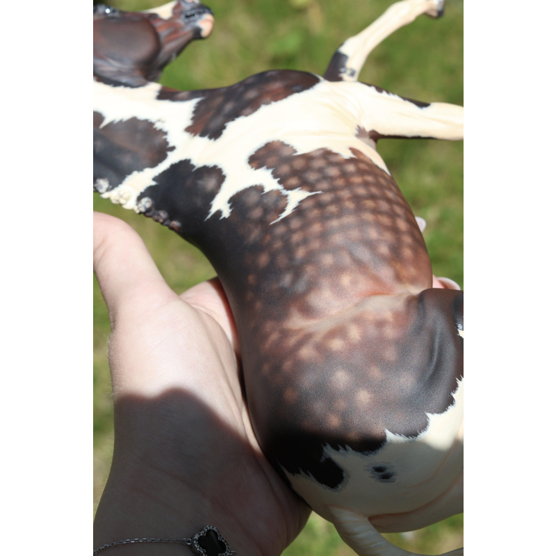 Breyer Traditional Braided Rowan | Dappled Bay W/ Heterochromia