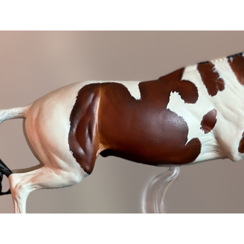 Breyer Bristol custom