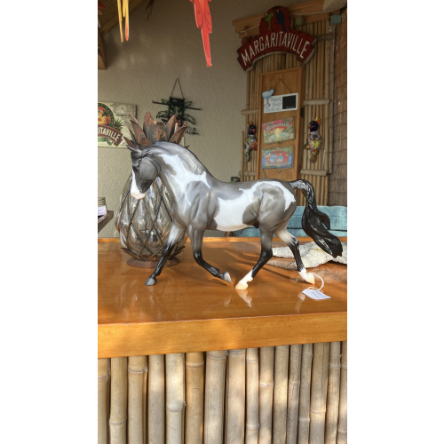 Ansel- 2021 Special Run