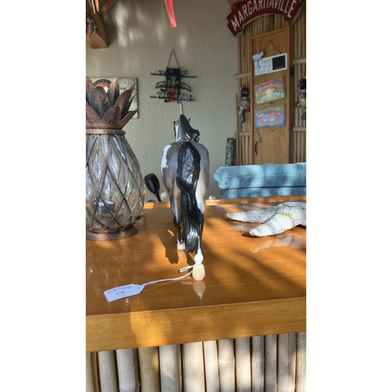 Ansel- 2021 Special Run