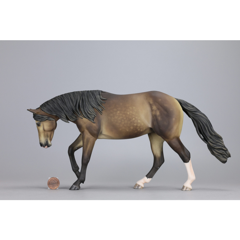 Sooty buckskin Traditional Lizette