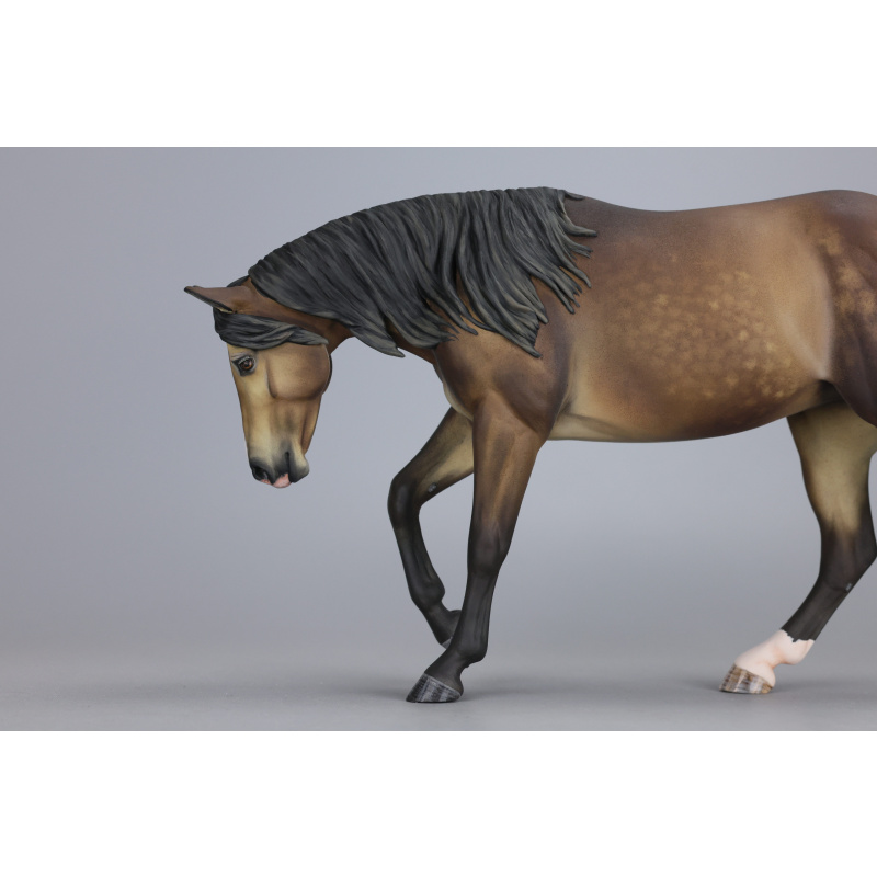 Sooty buckskin Traditional Lizette
