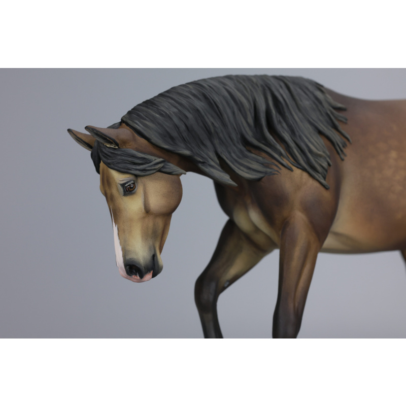 Sooty buckskin Traditional Lizette