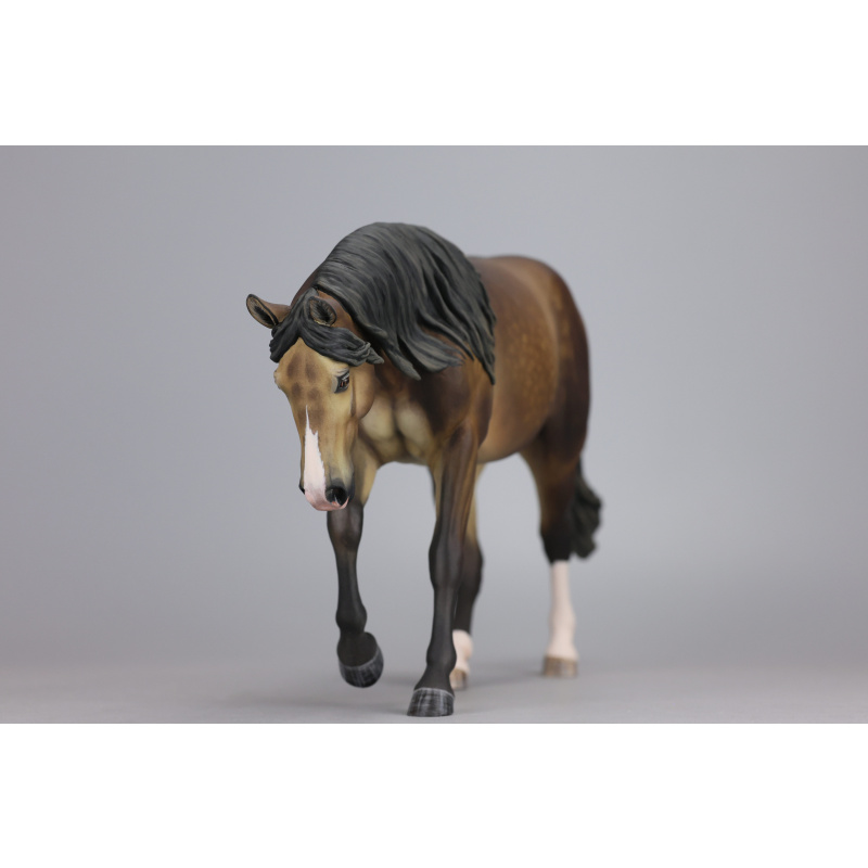 Sooty buckskin Traditional Lizette