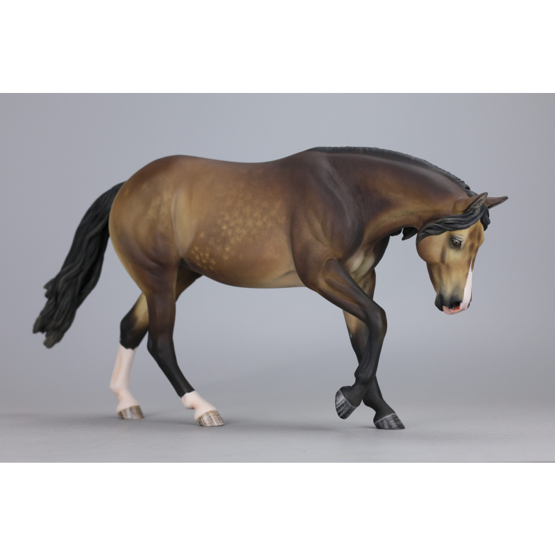 Sooty buckskin Traditional Lizette