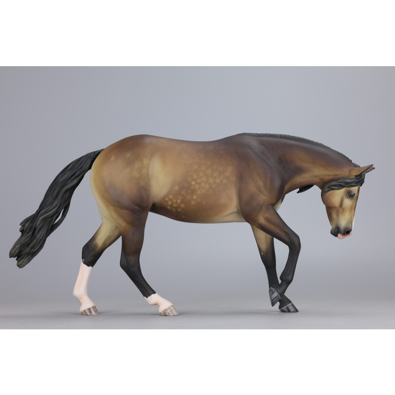 Sooty buckskin Traditional Lizette