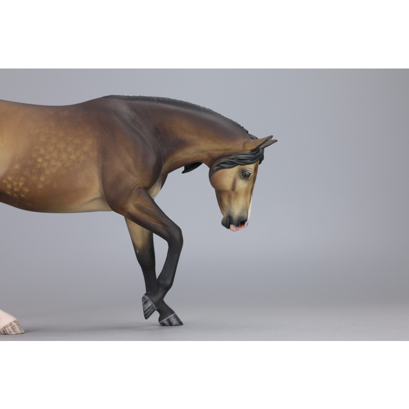 Sooty buckskin Traditional Lizette