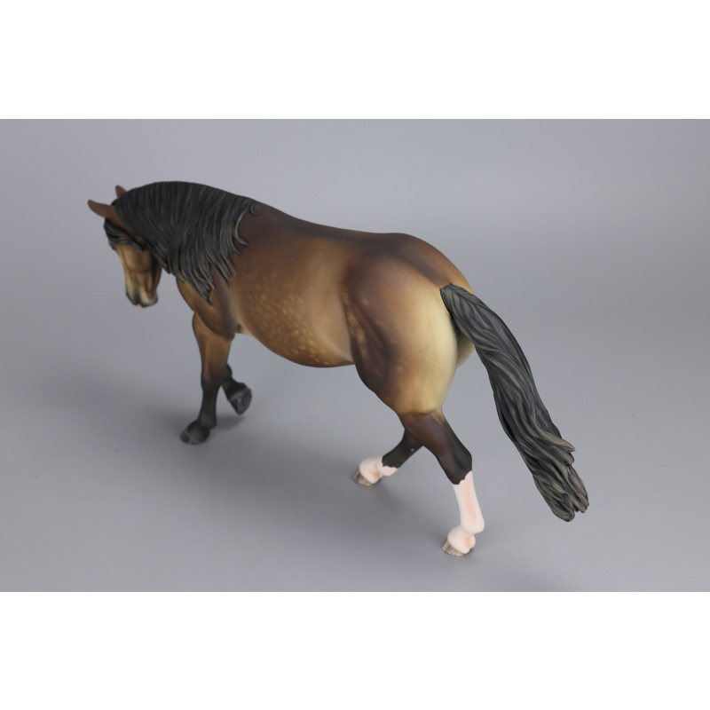 Sooty buckskin Traditional Lizette