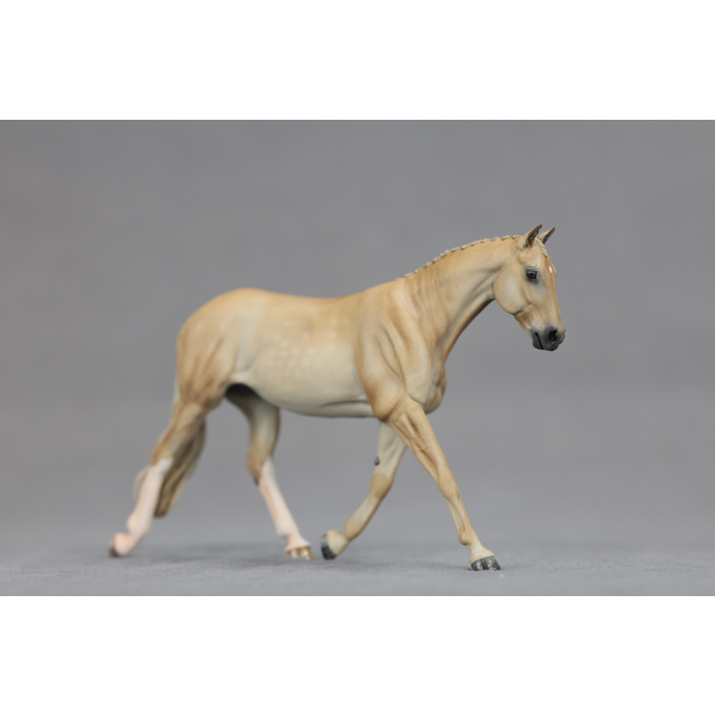 Stablemate dappled palomino Strawberry