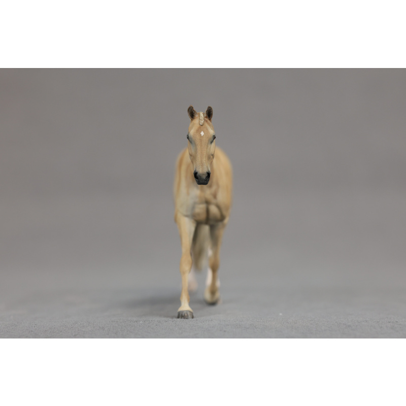 Stablemate dappled palomino Strawberry